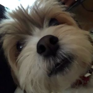 Meet your Posher, Cindy